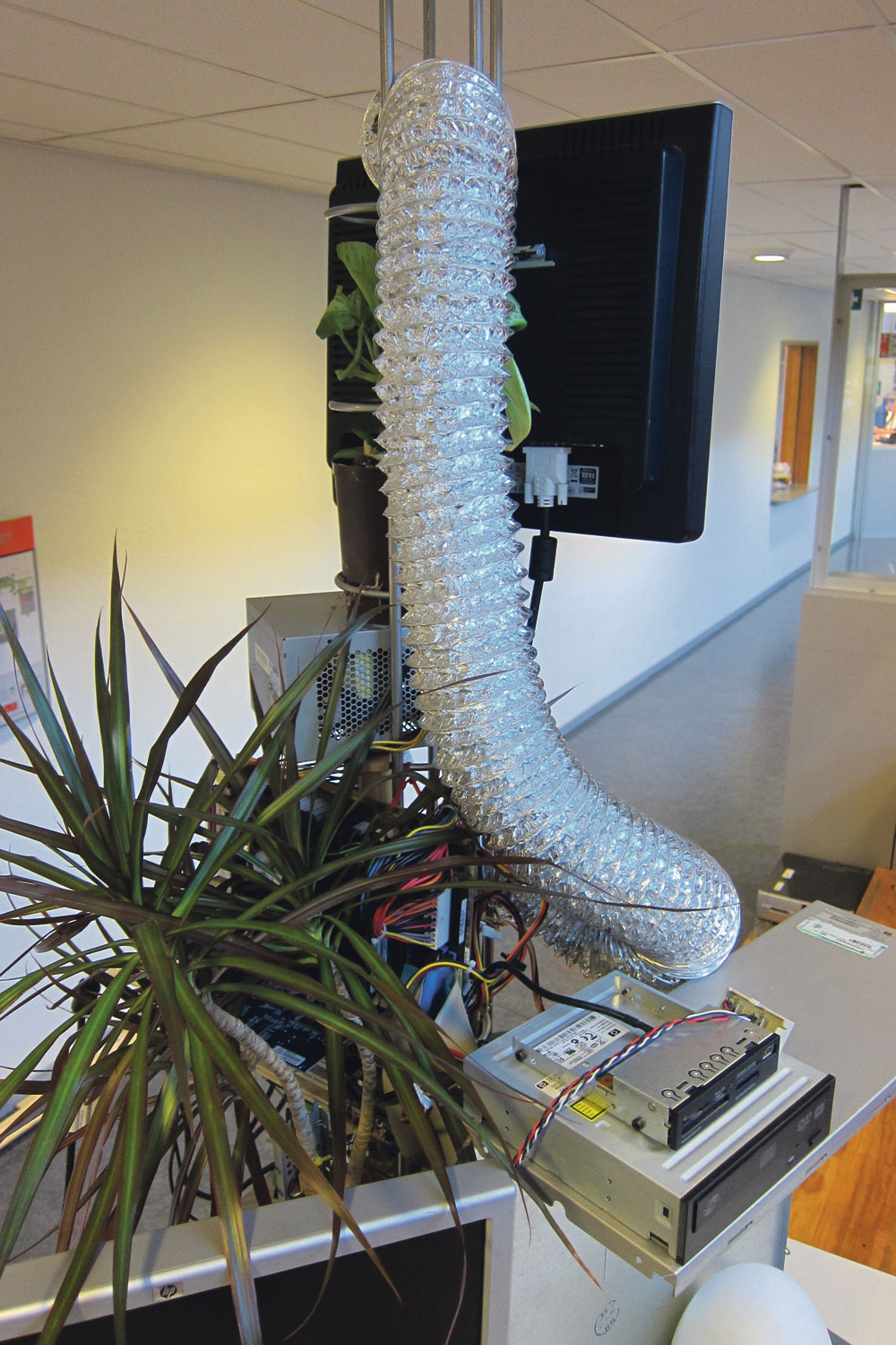 ‘People just show up and start designing’