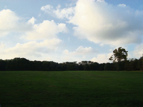 Foreign eye – Delta 36