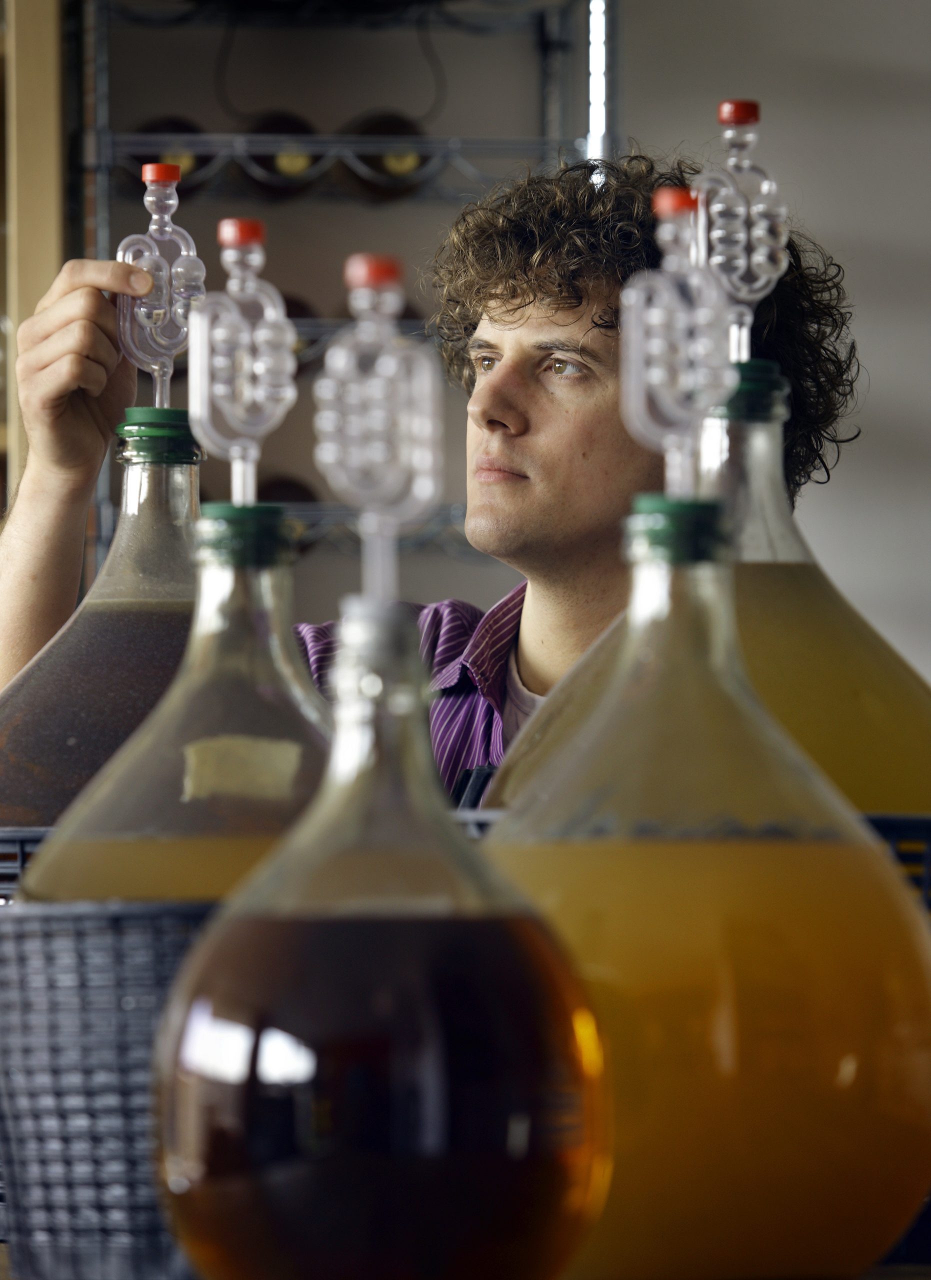 Avocations: Aldo Brinkman