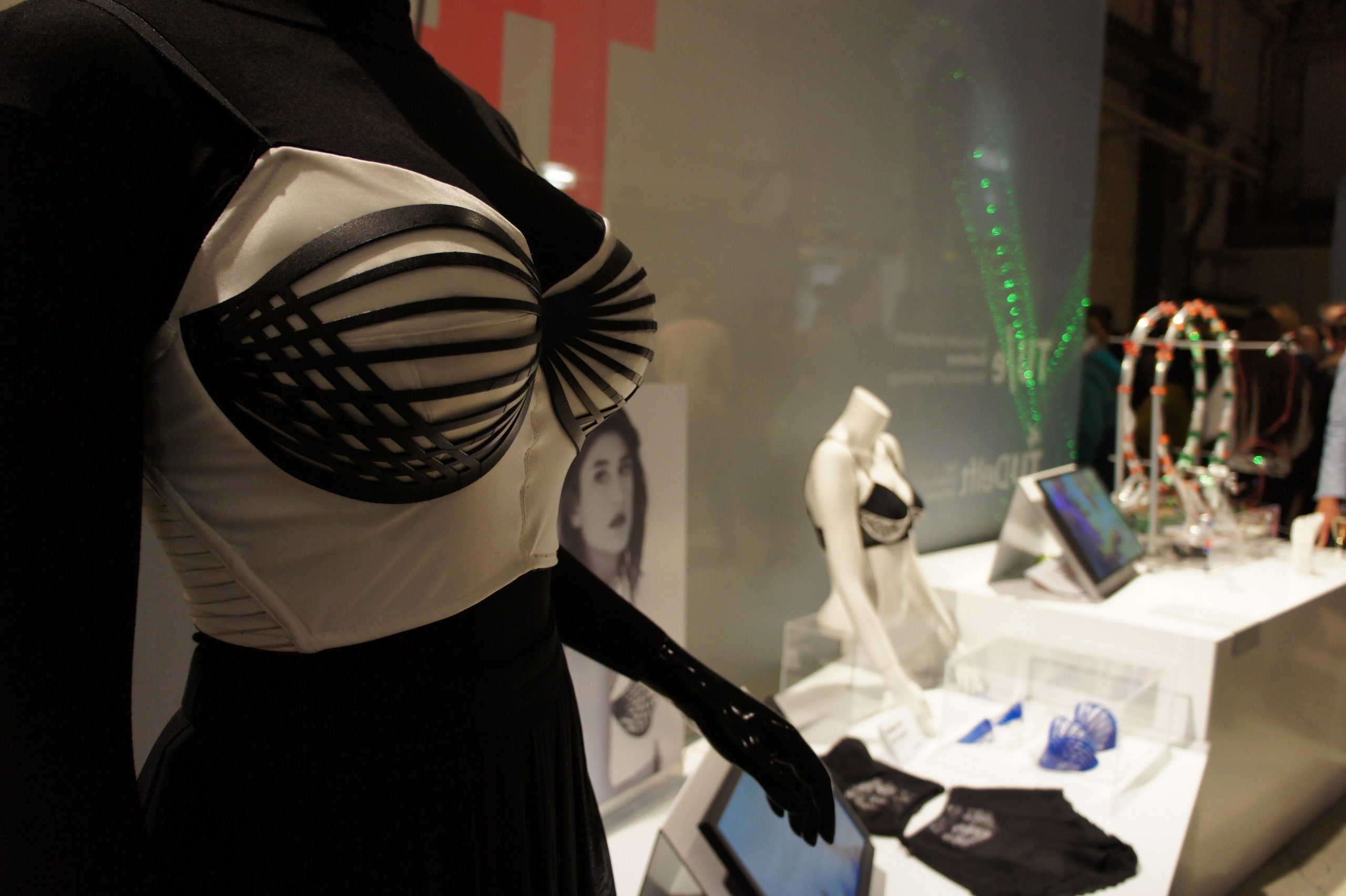 Students represent at DDW2015