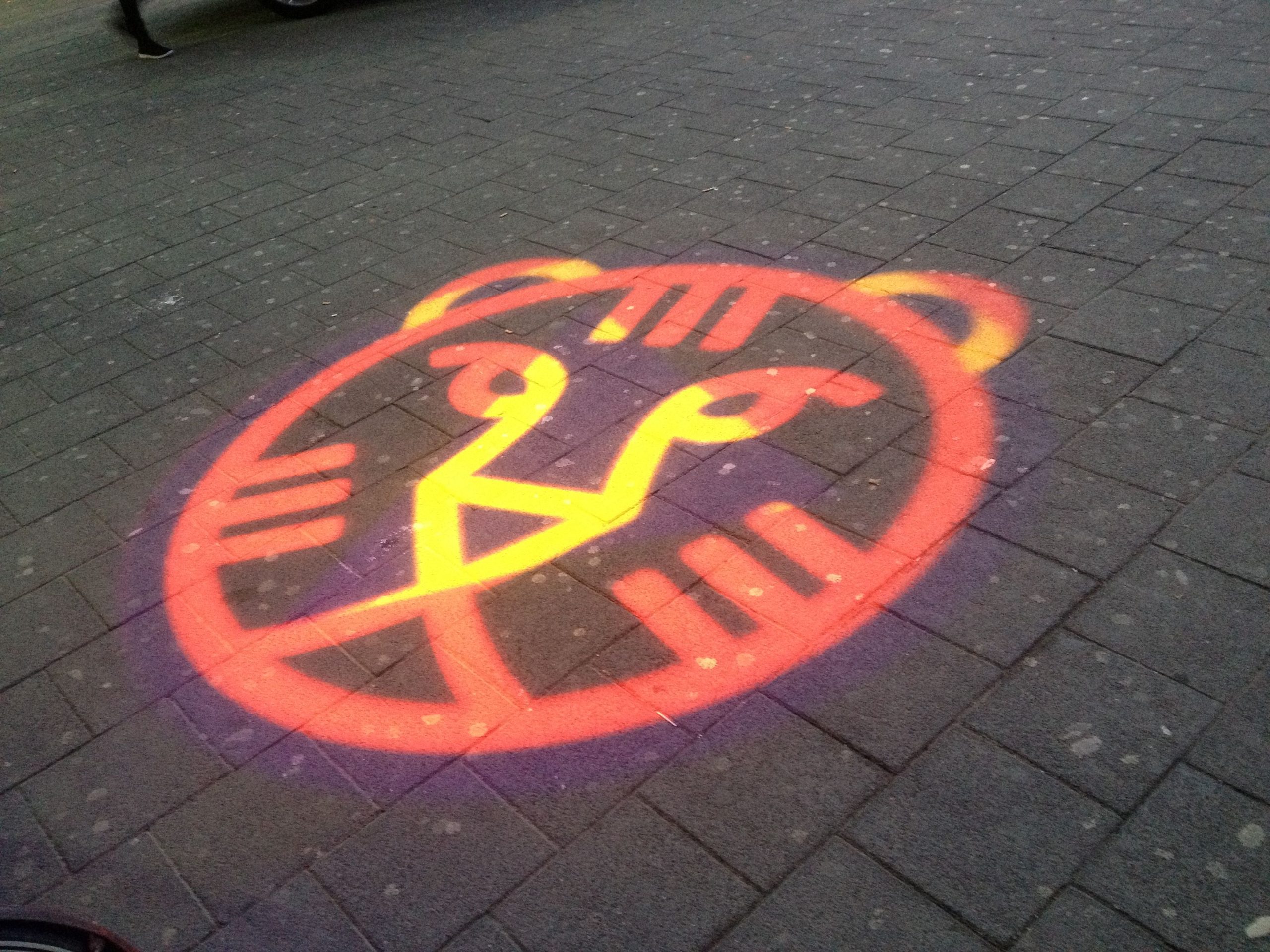 Tiger, tiger, burning bright: A quick look at the IFFR