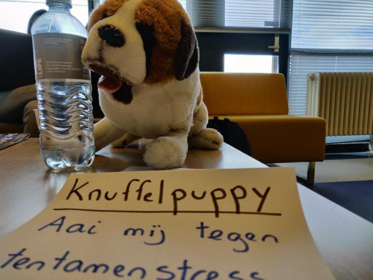 Puppy1.jpg