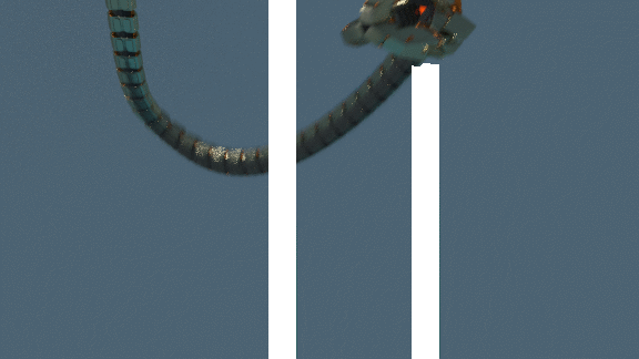 claw.gif