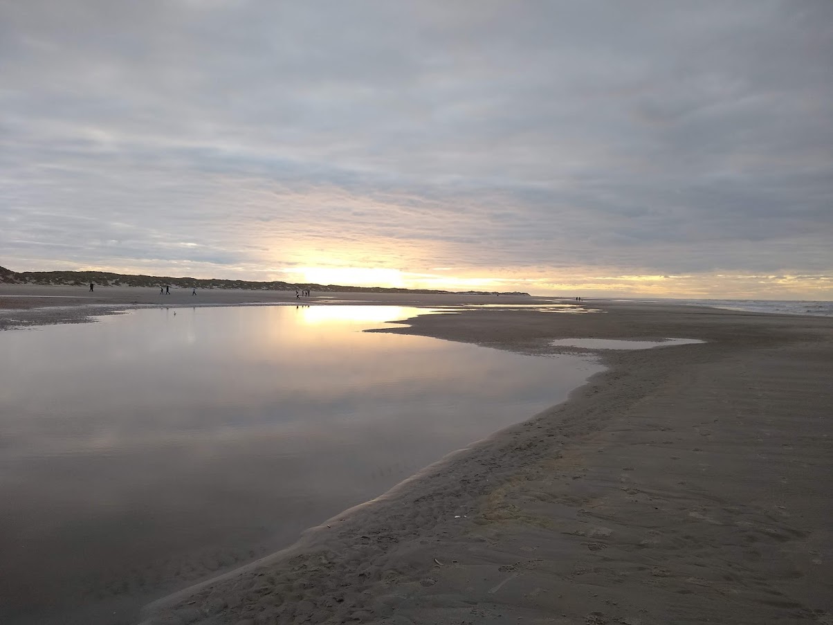 TU-hoogleraren actief in debat Waddengas