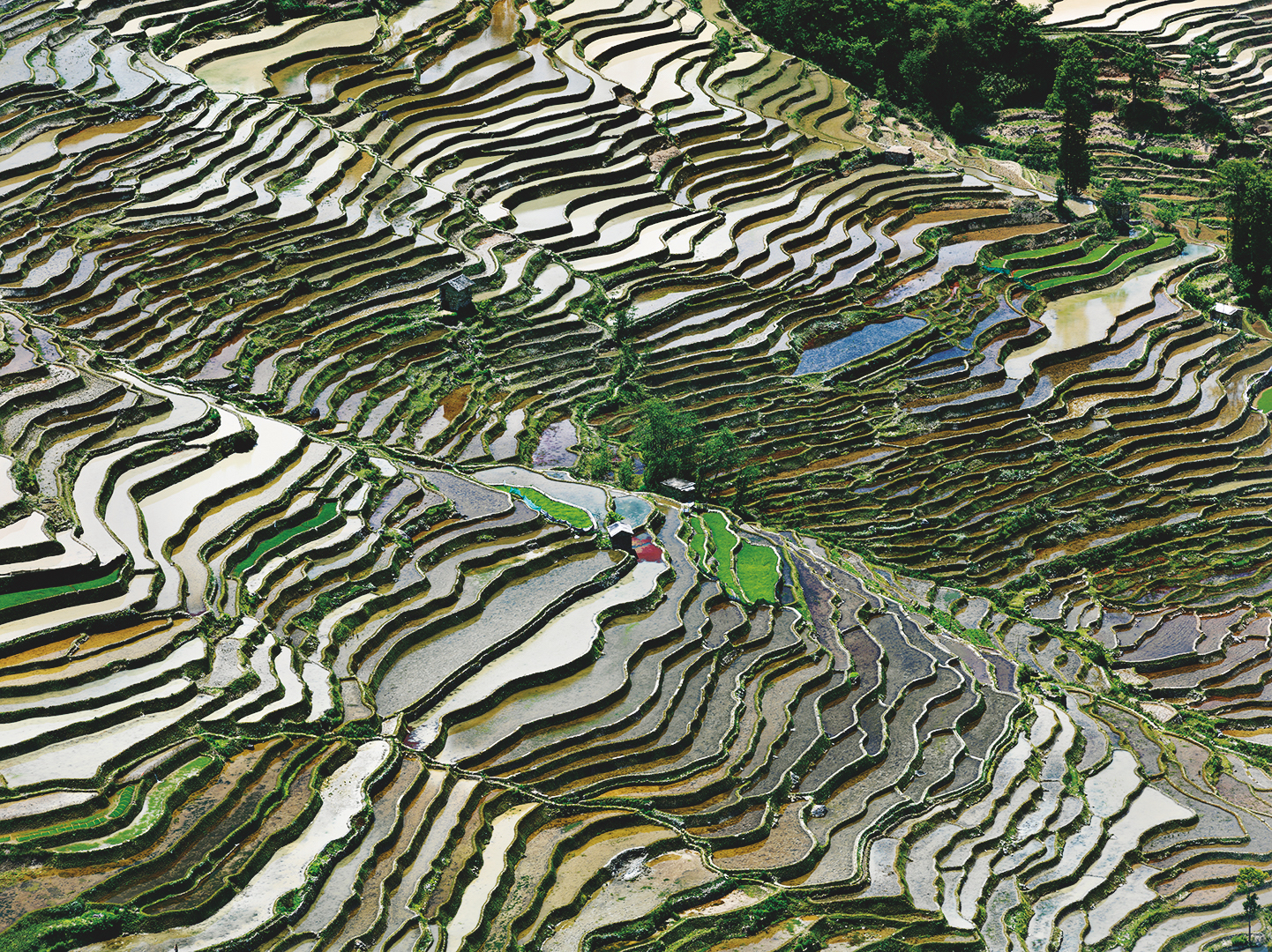 A water festival in Delft: watch the trailers now