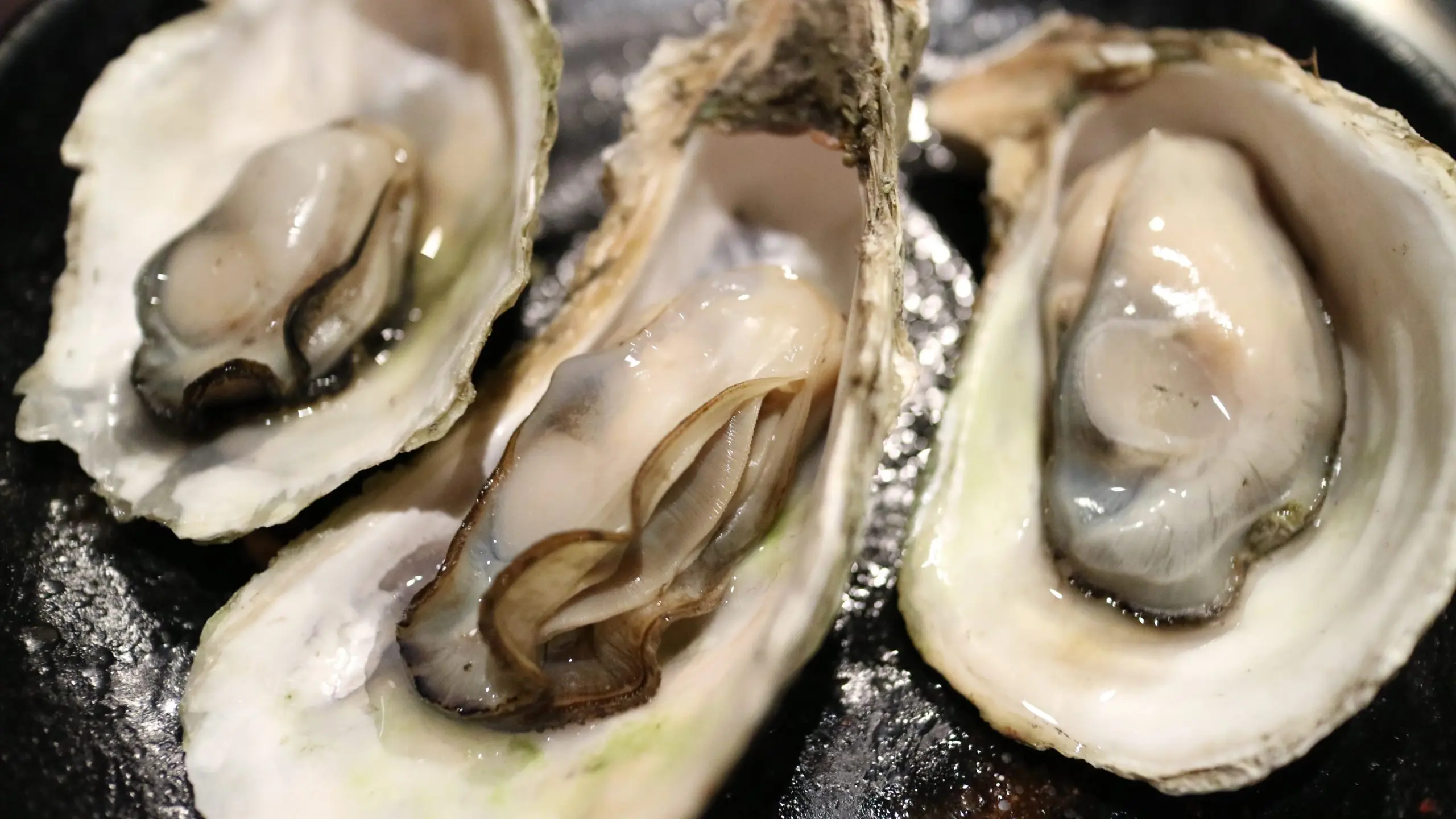 food-oyster-seafood-barbecue-shell-invertebrate-684704-pxhere.com Oesters: de een vindt het een delicatesse, de ander gruwelt ervan. (Foto: Pxhere)
